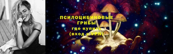 шишки Волоколамск