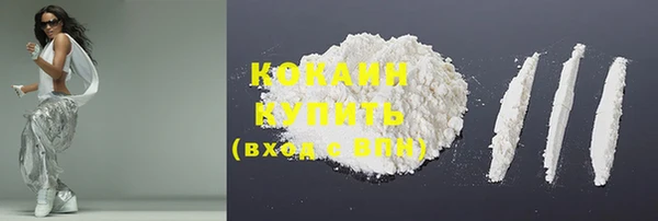 шишки Волоколамск
