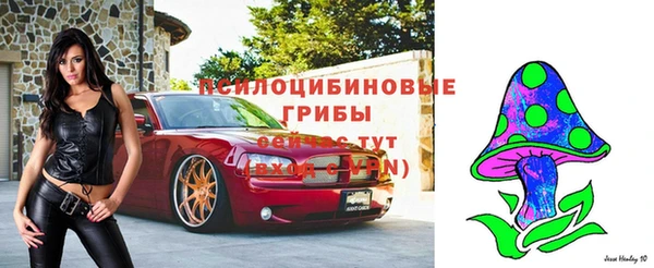шишки Волоколамск