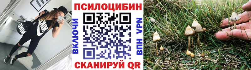Галлюциногенные грибы мухоморы  продажа наркотиков  Бердск 